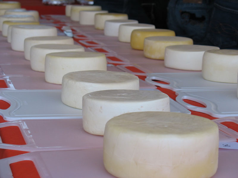 Curso online de fabricação de queijos
